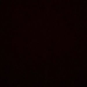 Meet your Posher, Timothy